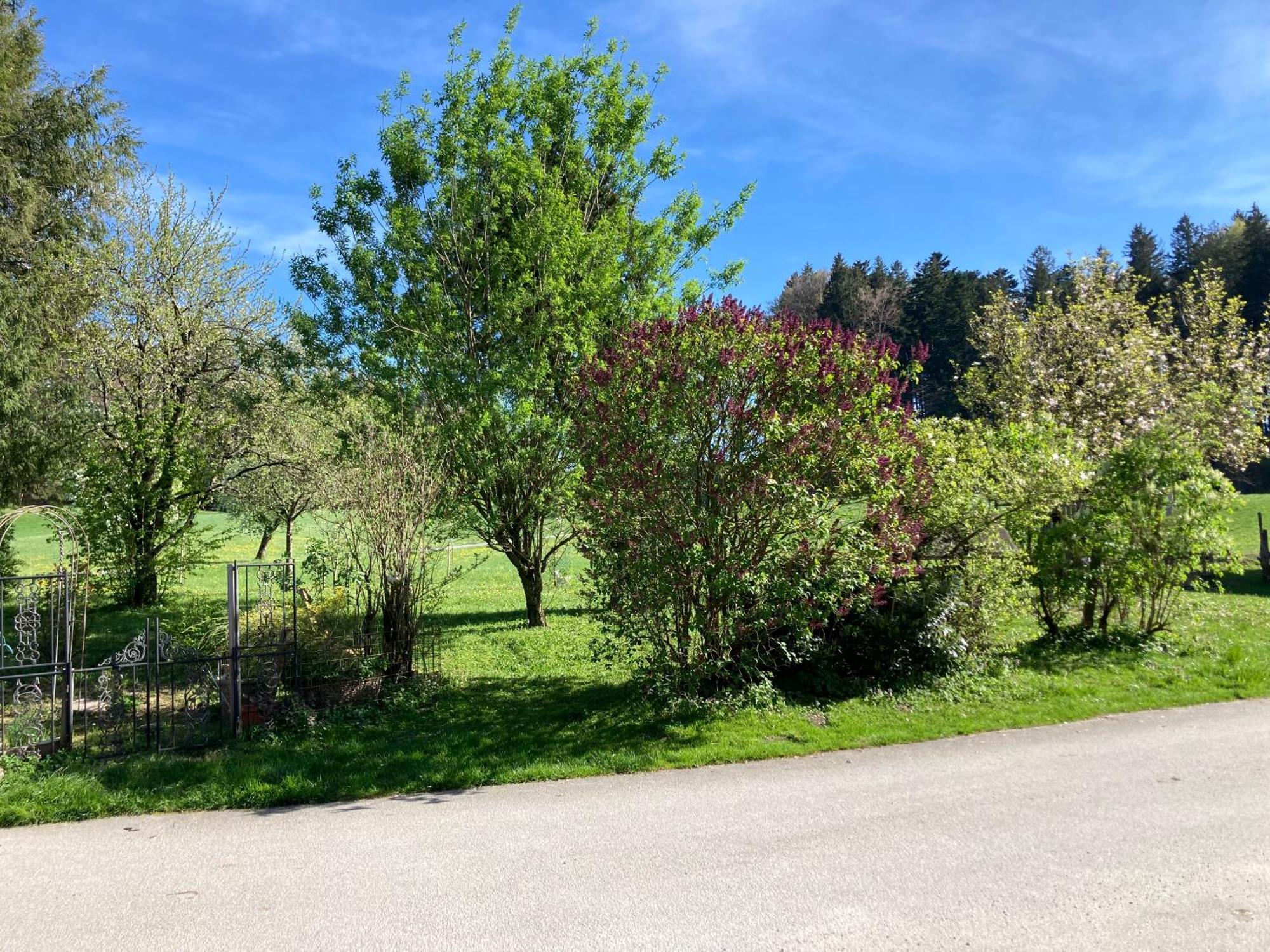 Obereggut Apartman Hof bei Salzburg Kültér fotó