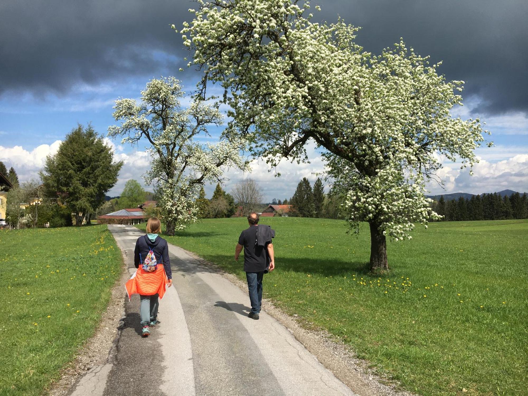Obereggut Apartman Hof bei Salzburg Kültér fotó