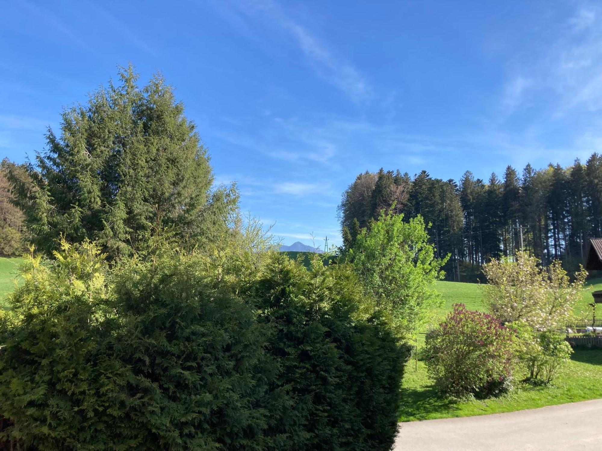 Obereggut Apartman Hof bei Salzburg Kültér fotó