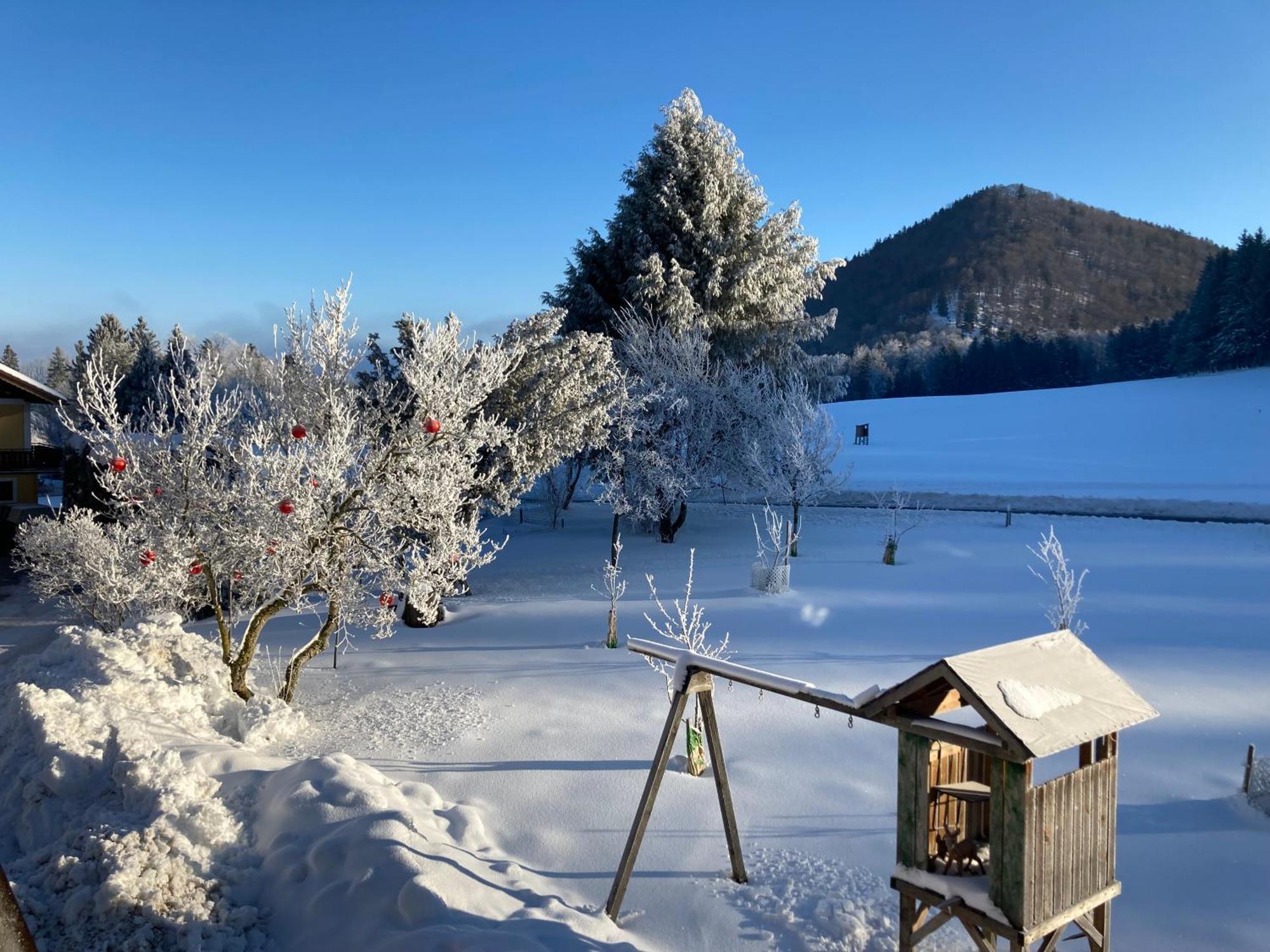 Obereggut Apartman Hof bei Salzburg Kültér fotó