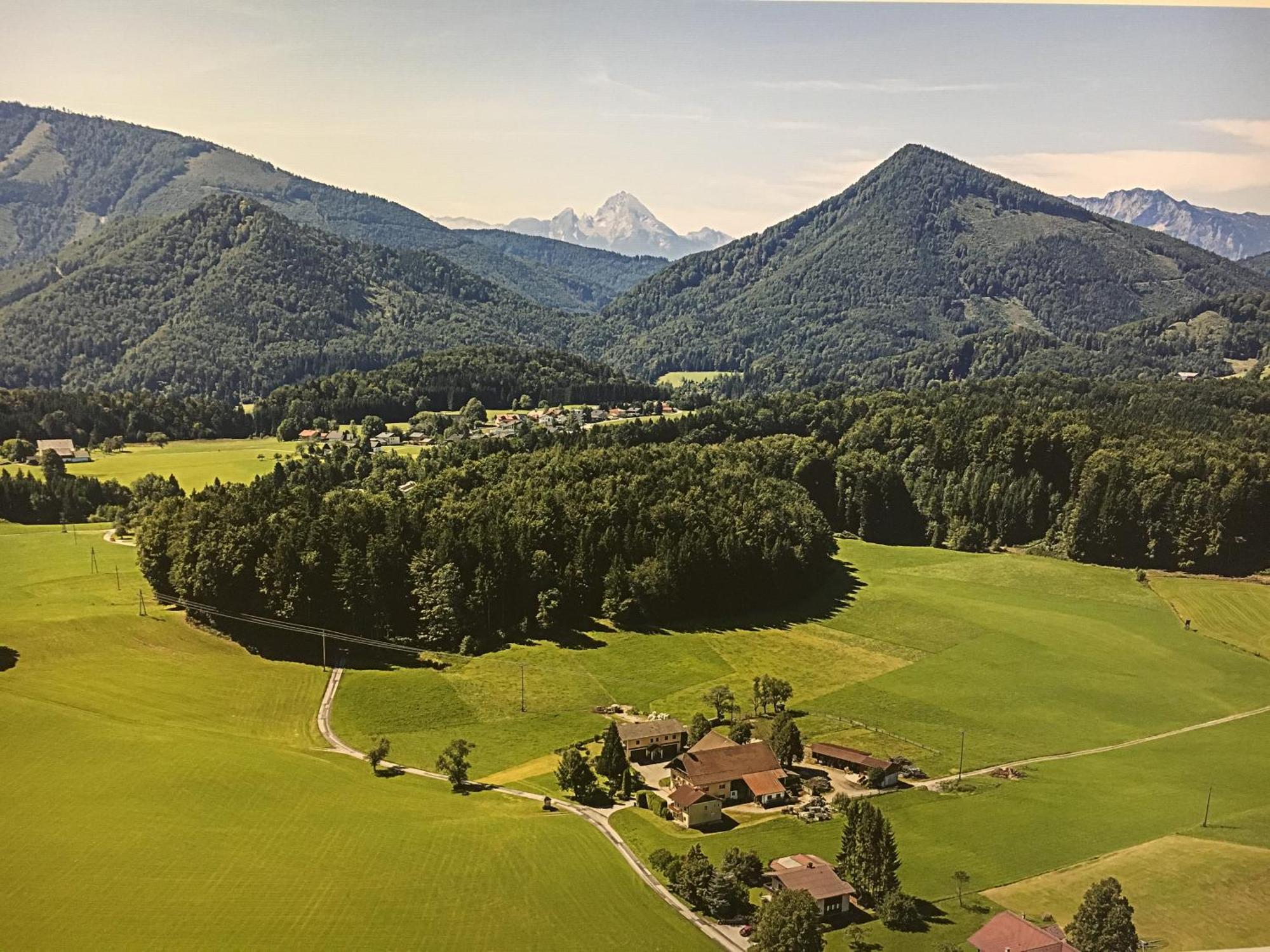 Obereggut Apartman Hof bei Salzburg Kültér fotó