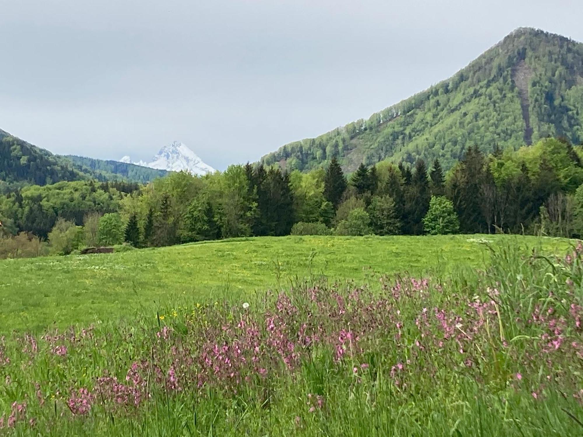Obereggut Apartman Hof bei Salzburg Kültér fotó