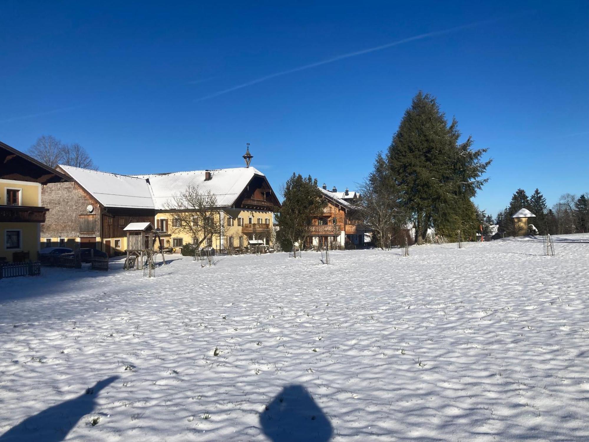 Obereggut Apartman Hof bei Salzburg Kültér fotó